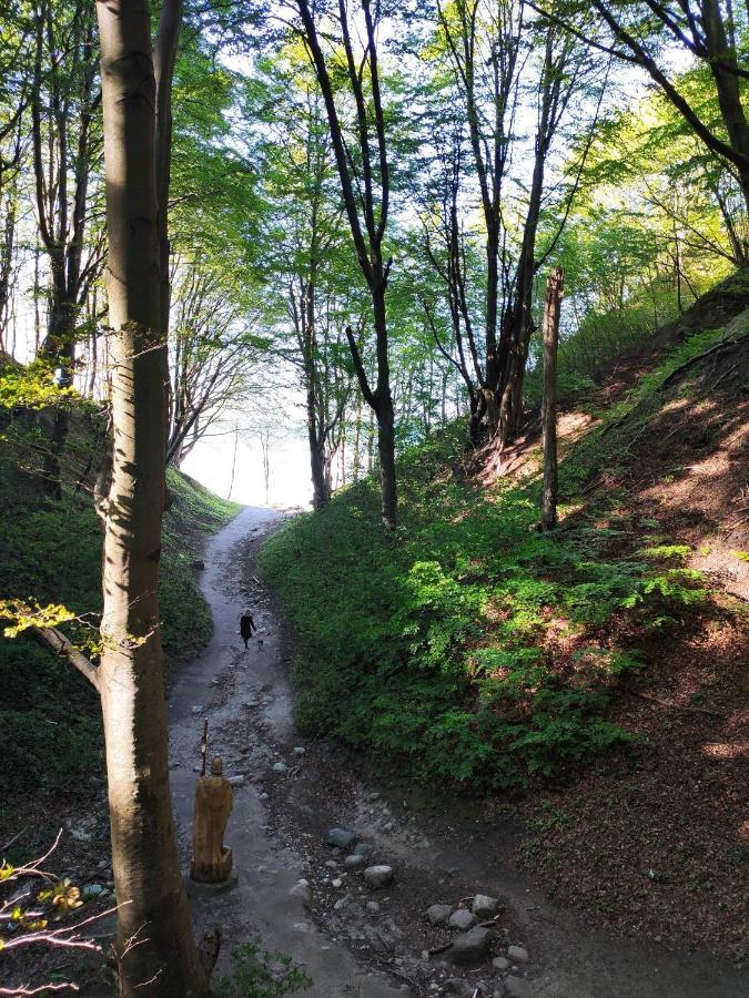 Domki Alefala Jastrzebia Gora Exterior photo
